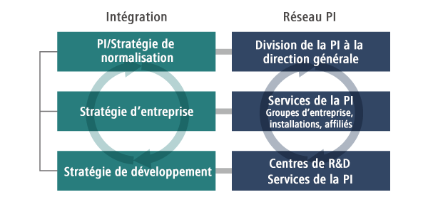 schéma : Intégration des activités, de la R&D et des actions en termes de propriété intellectuelle